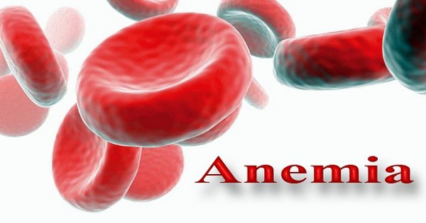 Какие бывают виды анемии?