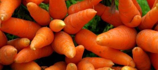 Морковь для зубов