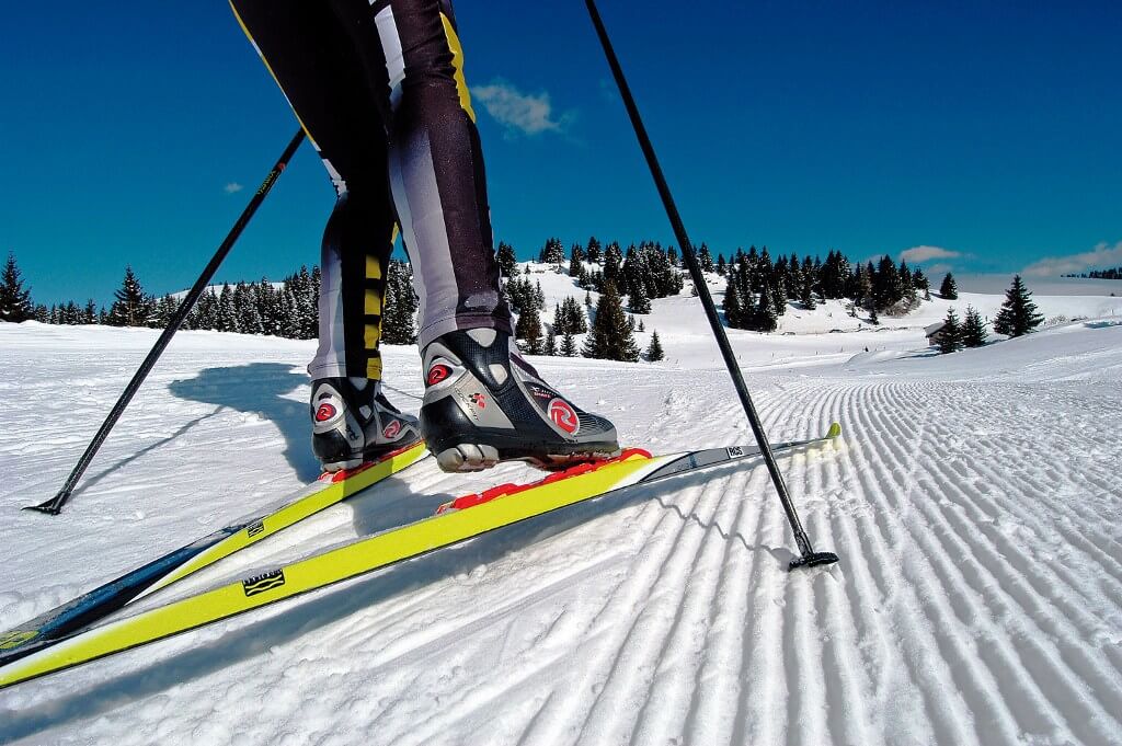 какие бывают беговые лыжи