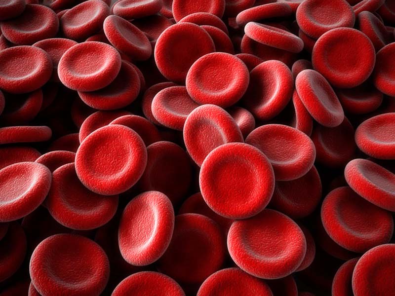 Какие бывают группы крови?