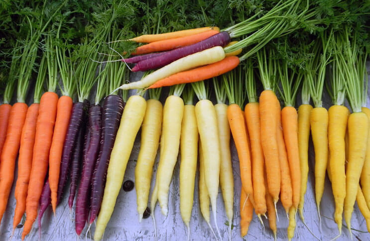 Какие бывают польза и вред моркови?