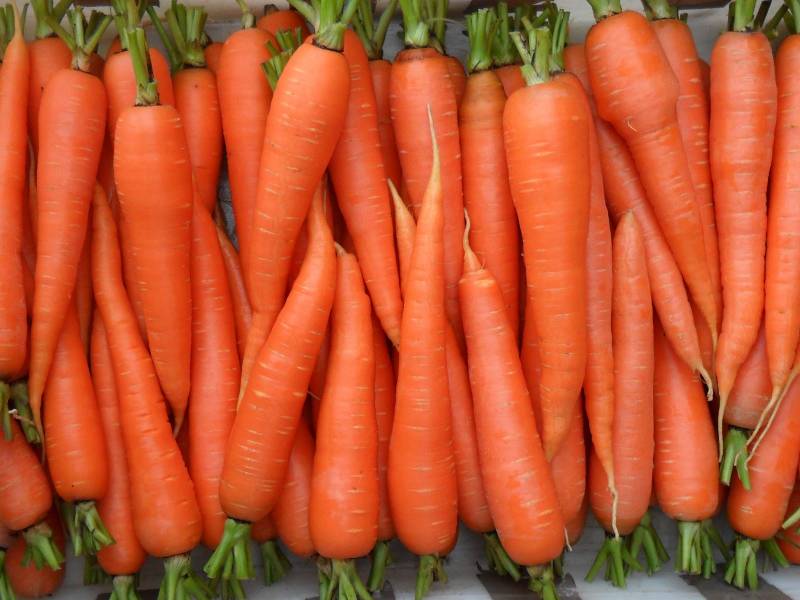 Какие бывают десерты из моркови?